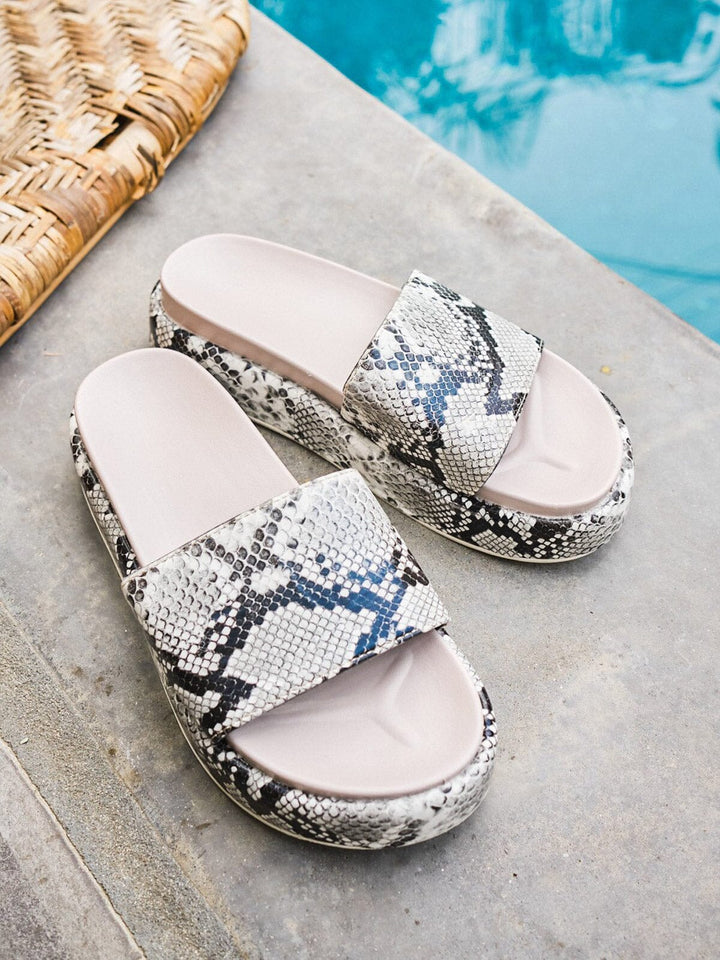 Snake Platform Slides