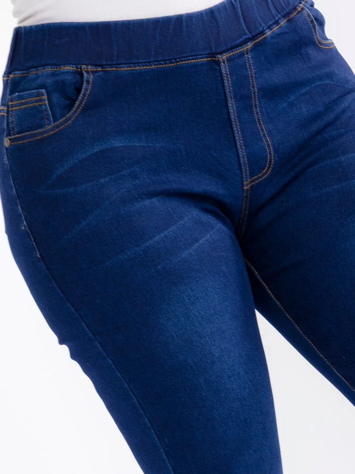 Plus Denim Skinny Jeans