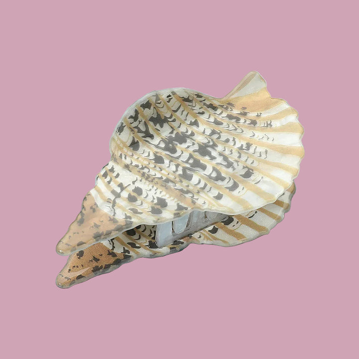 Seashell Dream Clip