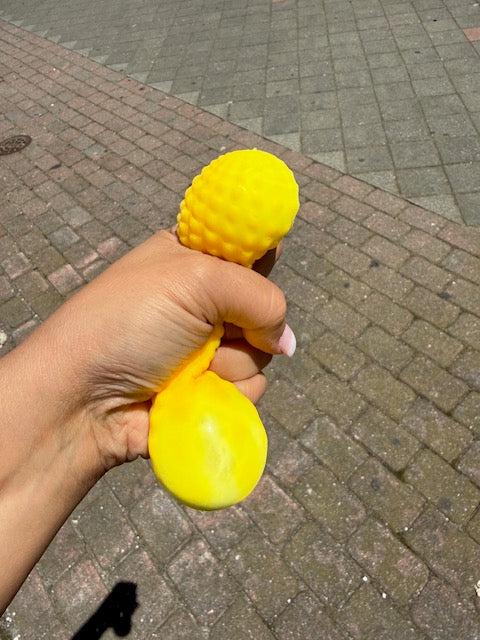 Corn Squishy