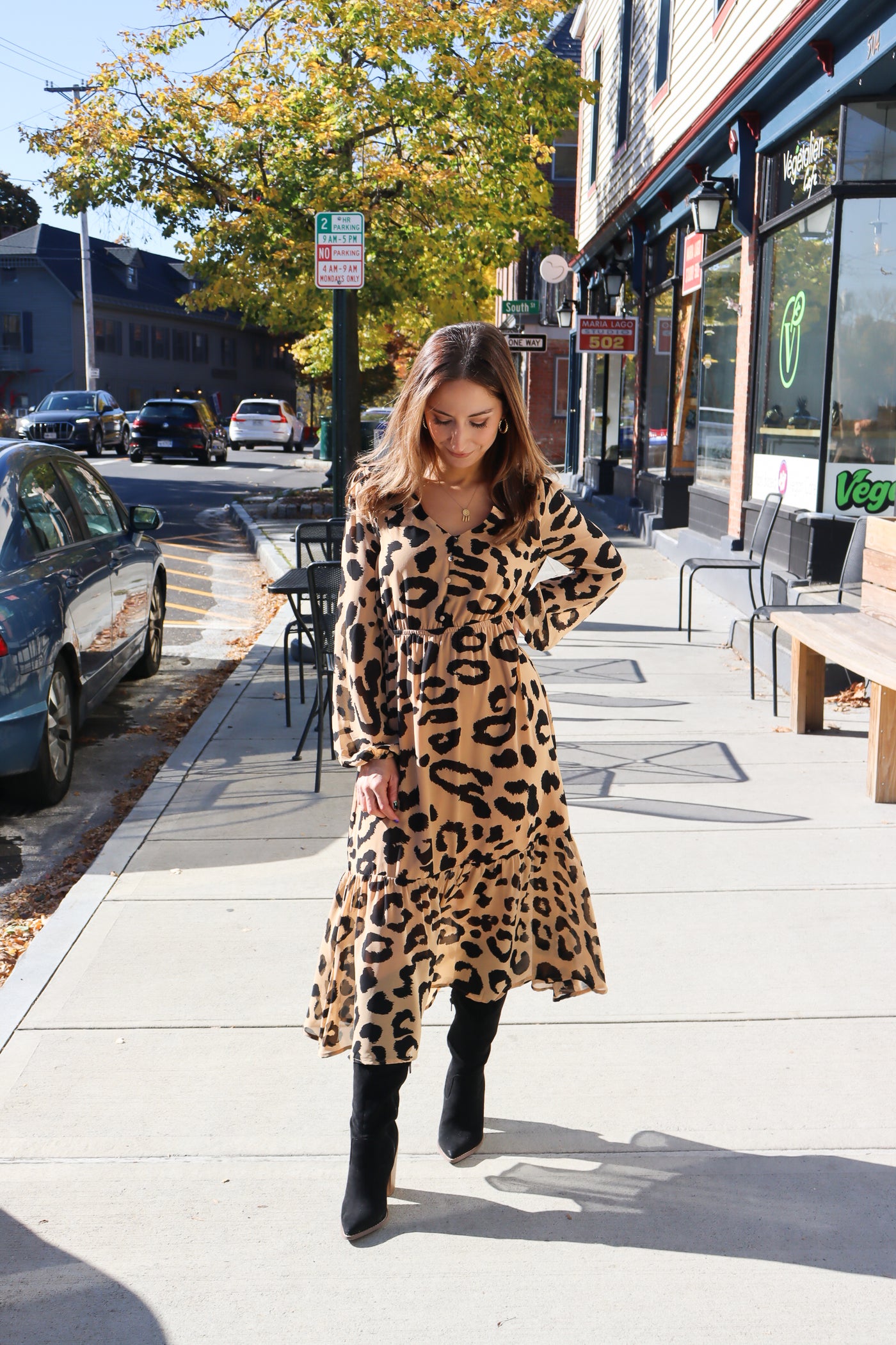 Tan Leopard Long Dress